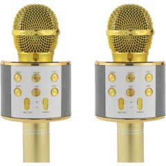 Lot de 2 micros sans fil karaoké Intempo EE7507WHTSTKEU7