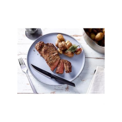 Couteau Passion Steak 12cm x 4 Pradel M1001070