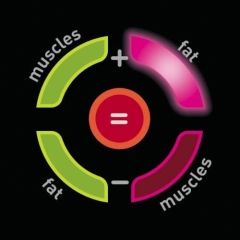Pèse-personne Bodysignal Tefal BM7100S6