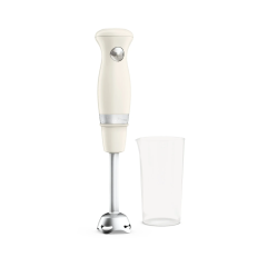 Mixeur plongeant Moulinex DD471A10