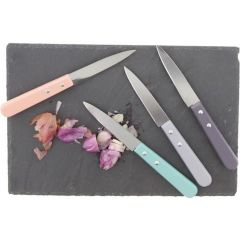 Lot 4 couteaux manche en bois multi-color Pradel Excellence