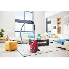Aspirateur traîneau avec sac Rowenta RO3153EA