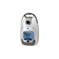 Aspirateur traîneau filaire, avec sac Rowenta RO6487EA