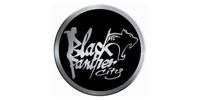 BLACK PANTHER CITY BLACK PANTHER CITY